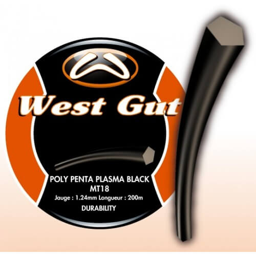 West Gut MT 18 Poly Penta Bobine 200 m