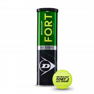 Tube 4 balles de tennis Roland Garros x Wilson toutes surfaces - jaune