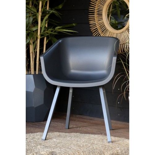 Chaises AMALIA Element  