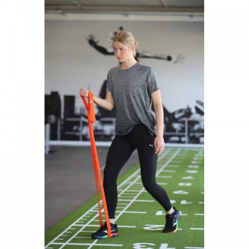 FLEXVIT MULTI Fitness Vert