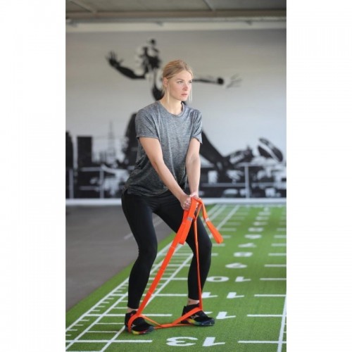 FLEXVIT MULTI Fitness Vert