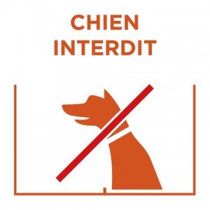 Panneau "chien interdit"