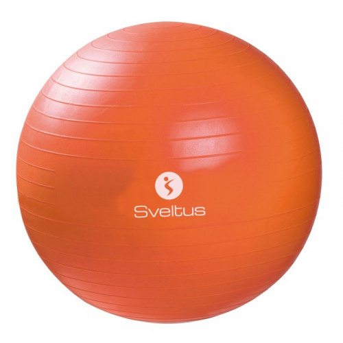Gymball - 55 cm