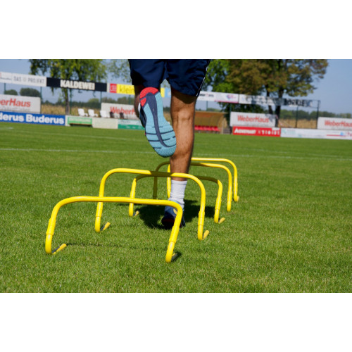 Lot de 5 haies 30 cm ajustables - 23cm ou 30cm - PVC rigide