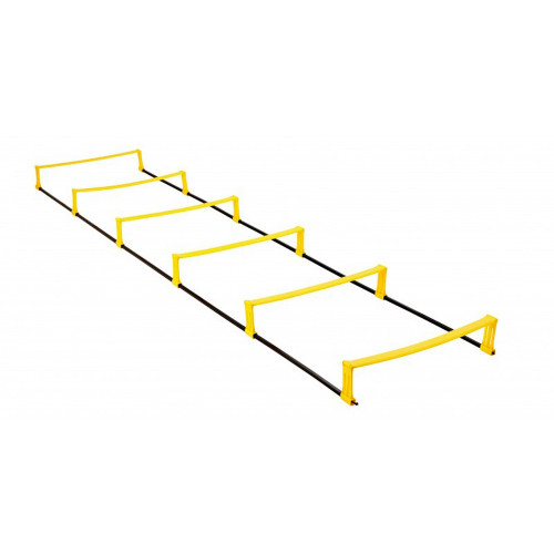 Échelle de rythme relevable en haies. Longueur: 2. 75 m.
