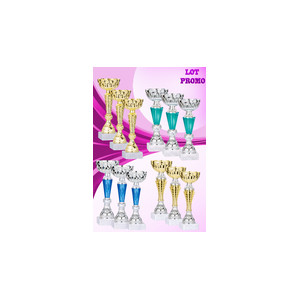 Lot de 12 coupes 2023-1