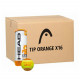 Carton de 24 tubes de 3 Balles Head Stage 2 Orange