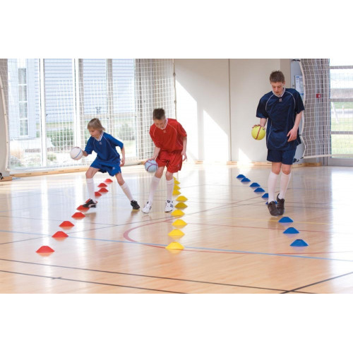 Lot 40 coupelles avec support de rangement