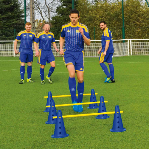 LOT 3 MINI-HAIES CONES 35cm HAUTEUR: 6-14-21-28 cm