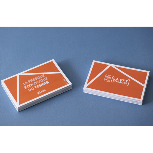 JEUX DE CARTES FRESQUE ECOLOGIQUE DU TENNIS
