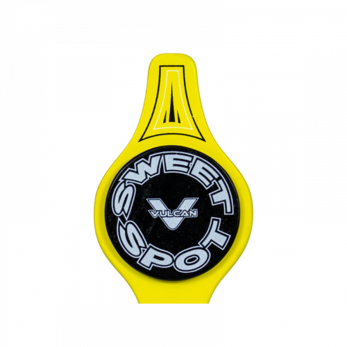 Raquette d'entrainement Vulcan V100