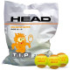 Sachet 72 balles HEAD TIP ORANGE