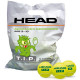 Sachet 72 balles HEAD TIP VERT