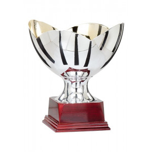 Trophée Coupe des Princes