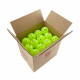 KIT FFT  de Pickleball Wilson – Spécial collèges et lycées  - Sans filets