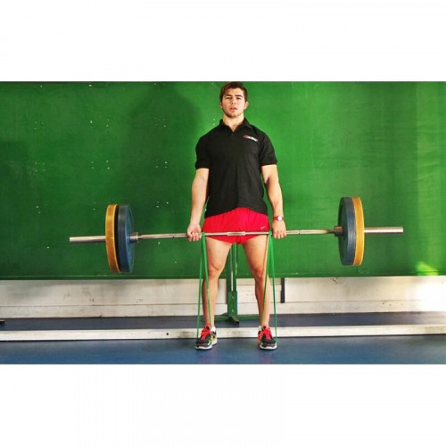 Mini Bande Elastique - Powerband Medium - Vert - 4TRAINER