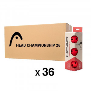 Lot 36 balles de pickleball Championship  Indoor - 26 trous