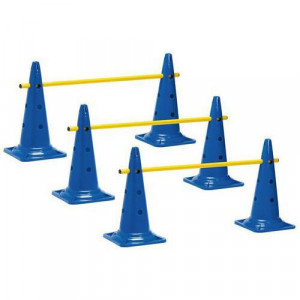 LOT 3 MINI-HAIES CONES 50cm HAUTEUR : 18-28-39 cm
