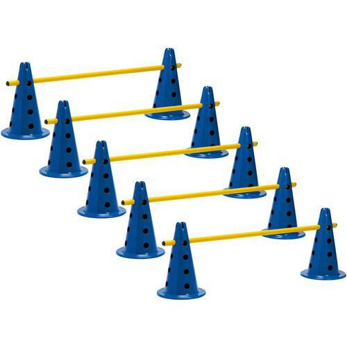 LOT 5 MINI-HAIES/CONES 50cm HAUTEUR : 18-28-39 cm