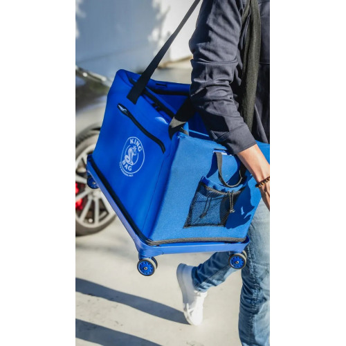 Panier de balles rétractable à roulettes – 250 balles – Académie