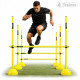KIT PLIOMÉTRIE AJUSTABLE  - 9 Jalons Démontables 180cm - 4TRAINER