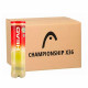 Carton de 36 tubes de 4 balles Head Championship