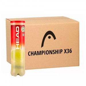 Carton de 36 tubes de 4 balles Head Championship