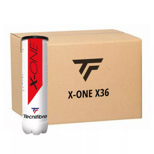Carton 36 tubes de 4 balles Tecnifibre X-One