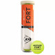 Balles Dunlop Fort Clay Court x4